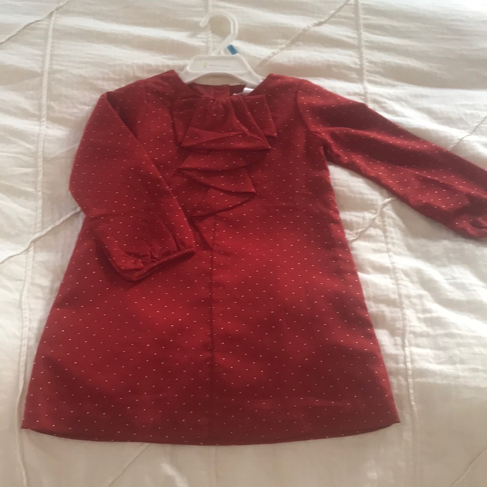 Beautiful Holiday Dress